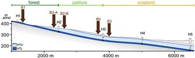 Soil Viral Communities Vary Temporally and along a Land Use Transect as Revealed by Virus-Like Particle Counting and a Modified Community Fingerprinting Approach (fRAPD)